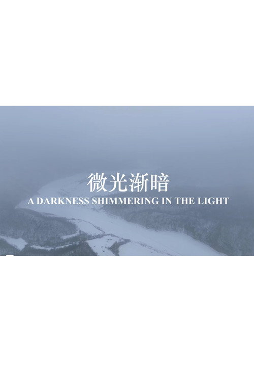 微光渐暗 封面