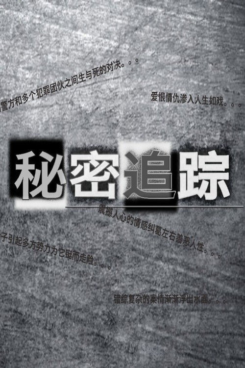 秘密追踪 封面