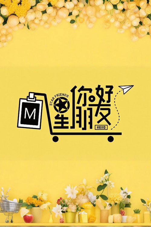 你好星朋友 封面