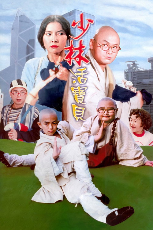 少林活宝贝 封面