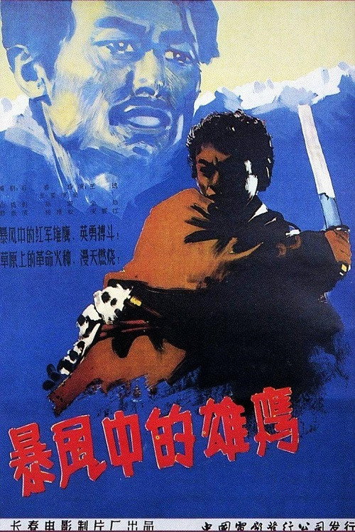 暴风中的雄鹰 封面