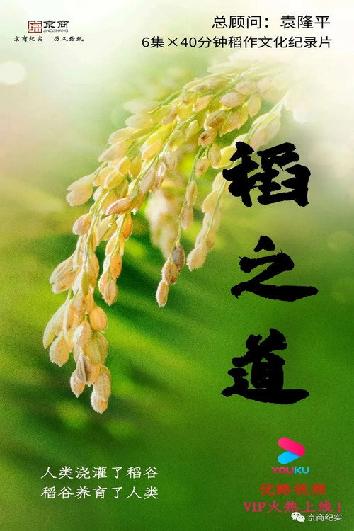 稻之道 封面