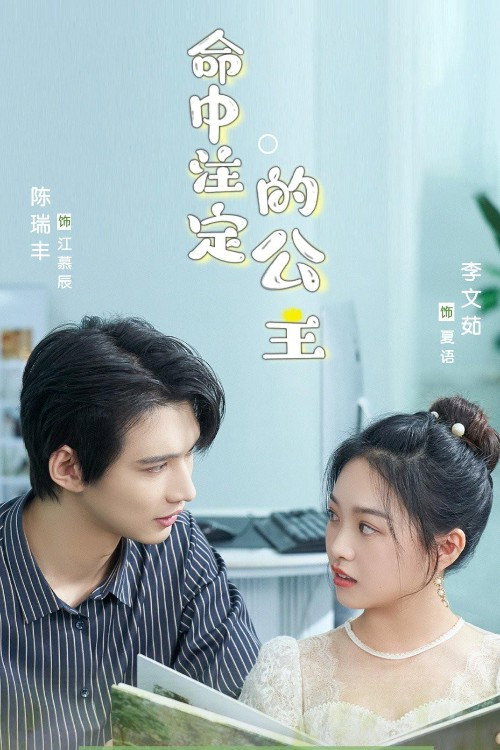 命中注定的公主 封面