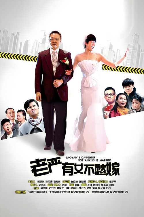 老严有女不愁嫁 封面