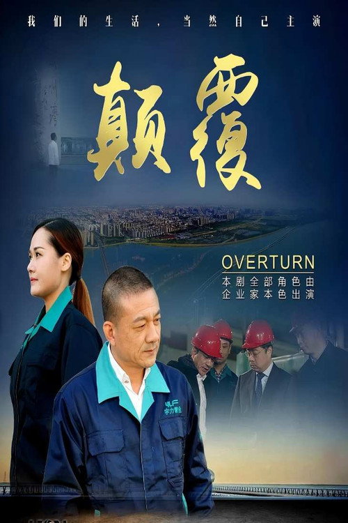 颠覆 封面