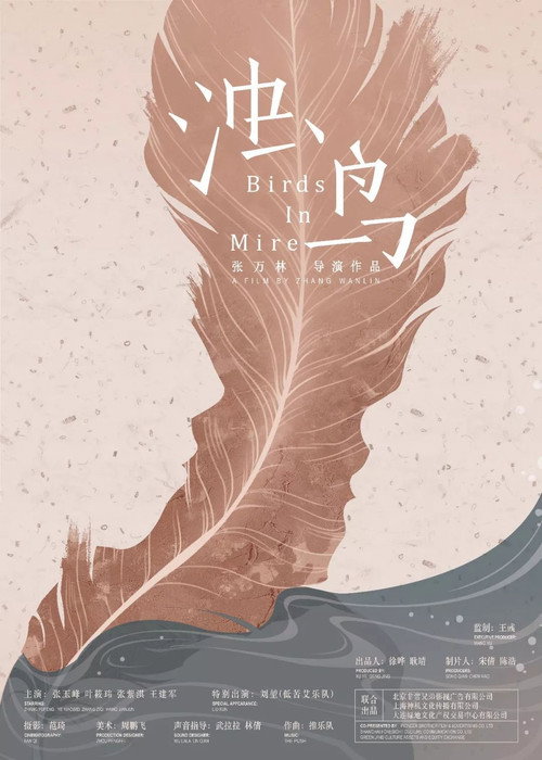 浊鸟 封面