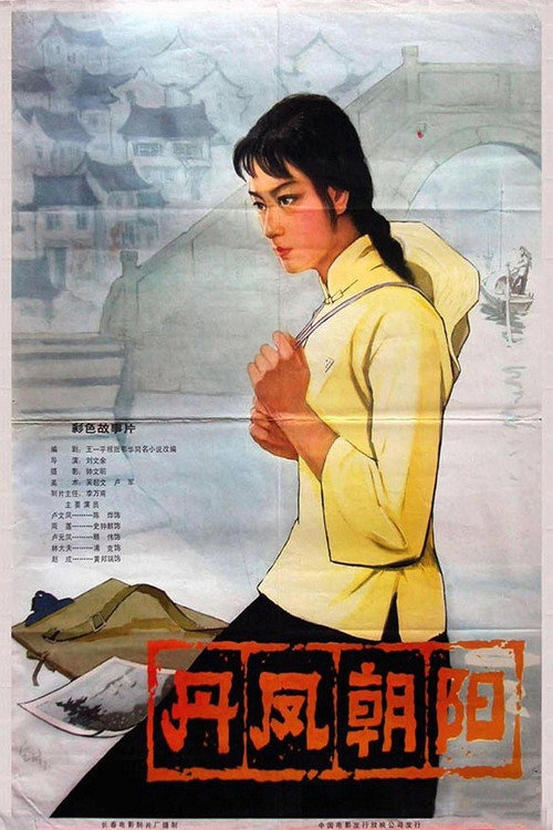 丹凤朝阳 封面