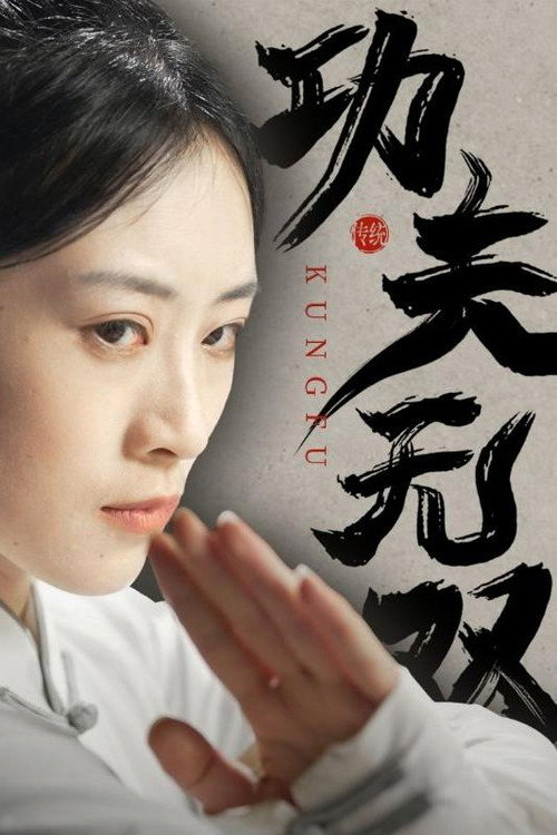 功夫无双 封面
