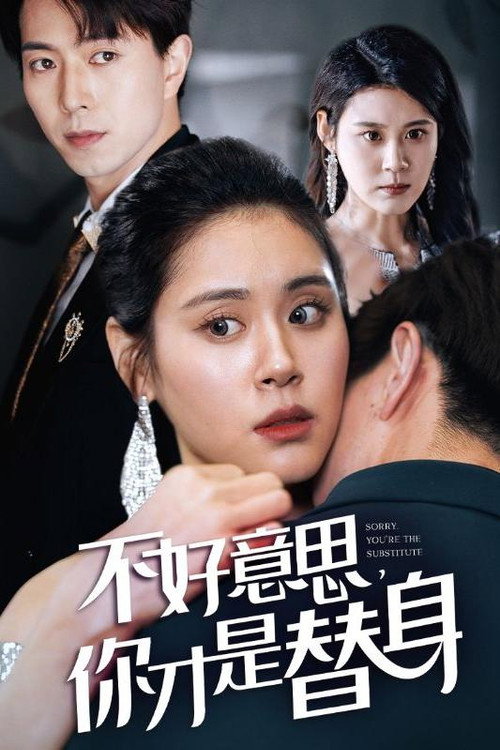 不好意思，你才是替身 封面