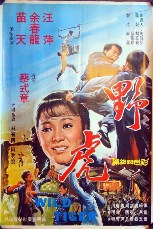 野虎 封面