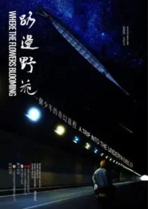 路边野花 封面