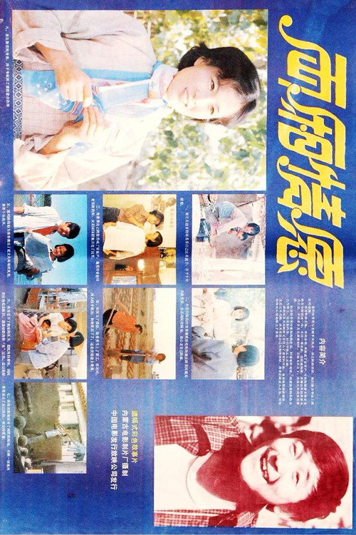 两厢情愿 封面
