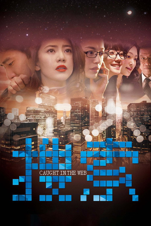 搜索 封面