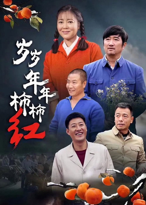岁岁年年柿柿红 封面