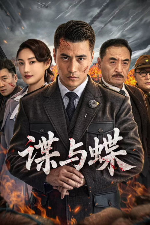 谍与蝶 封面