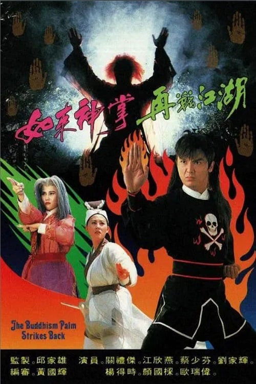 如来神掌再战江湖 封面