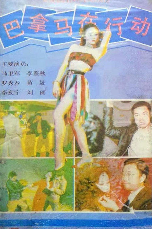 巴拿马在行动 封面