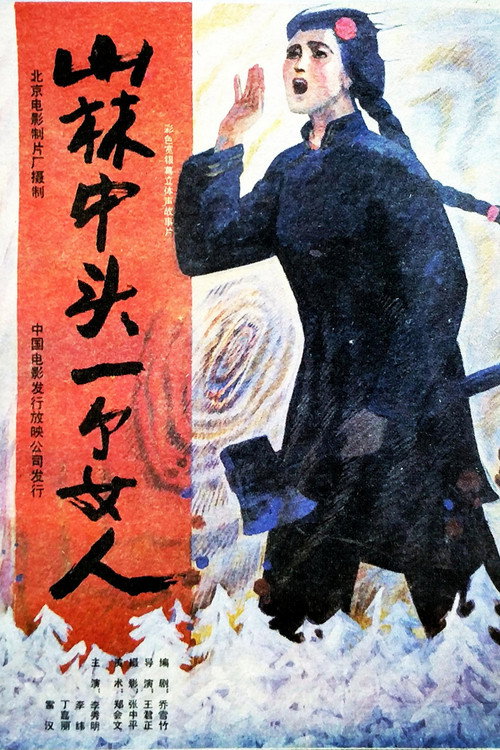 山林中头一个女人 封面