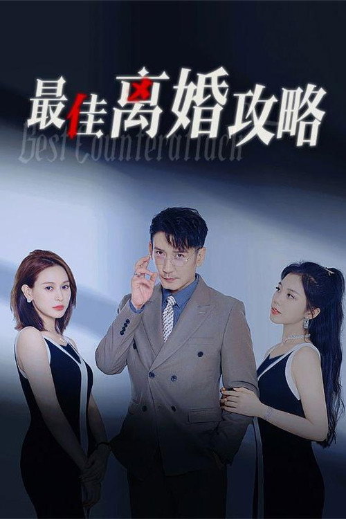 最佳离婚攻略 封面