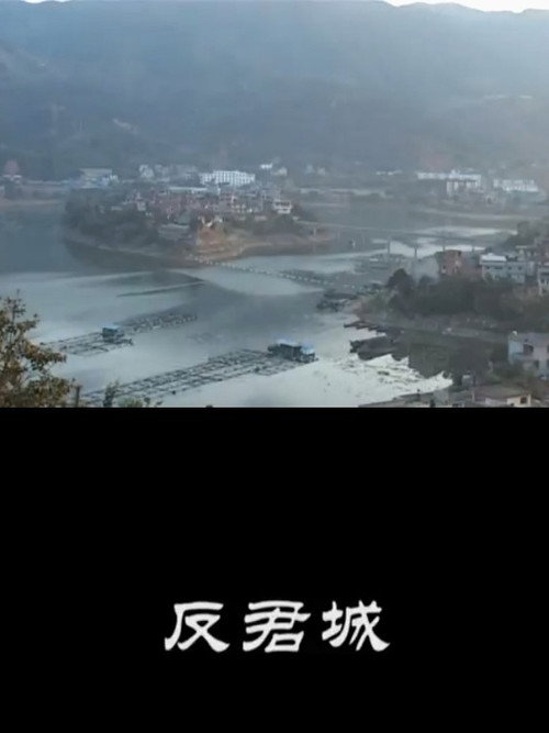 反君城 封面