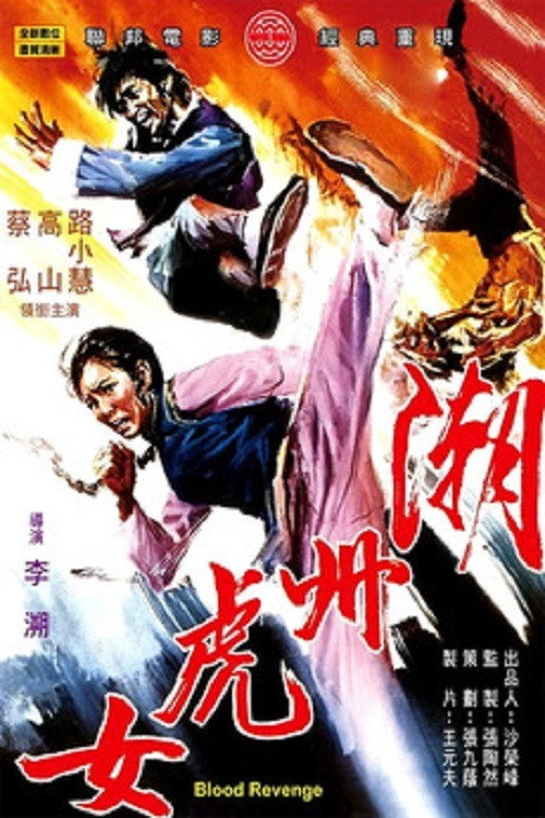 Chao Zhou hu nu 封面