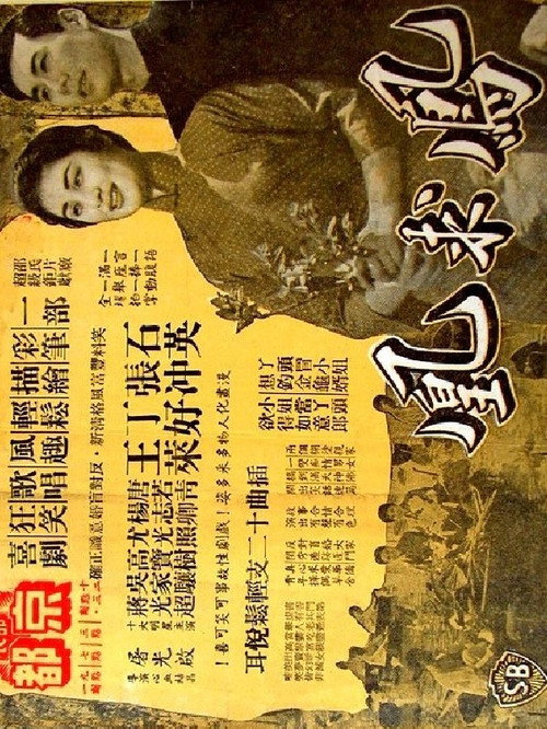 鳳求凰 封面