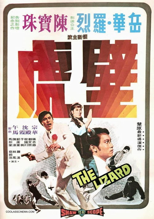 壁虎 封面