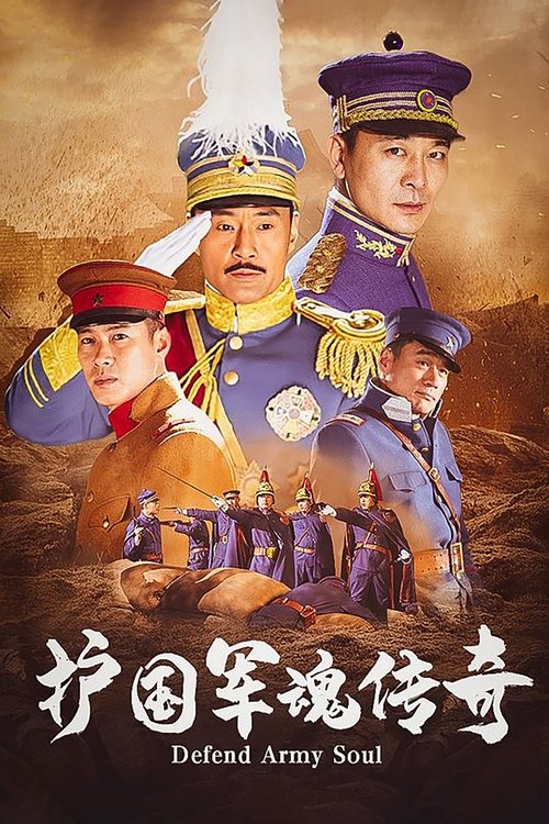 护国军魂传奇 封面