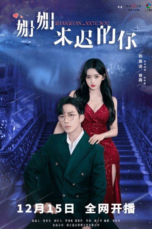 姗姗来迟的你 封面