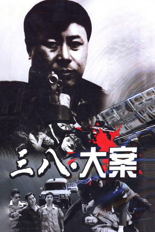 3·8大案 封面