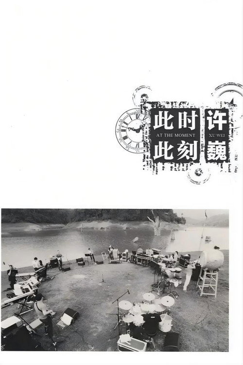 许巍:此时此刻 纪录片 封面