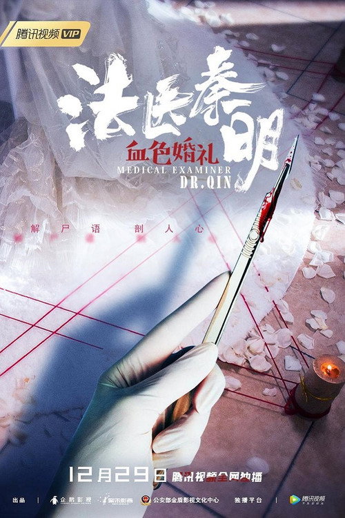 法医秦明之血色婚礼 封面