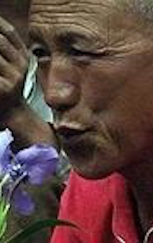 加达村的男人和女人 封面
