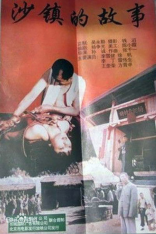 沙镇的故事 封面