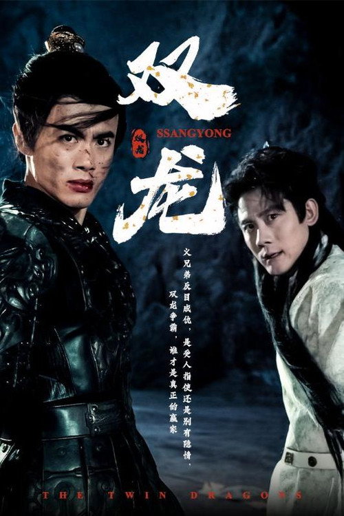 双龙 封面