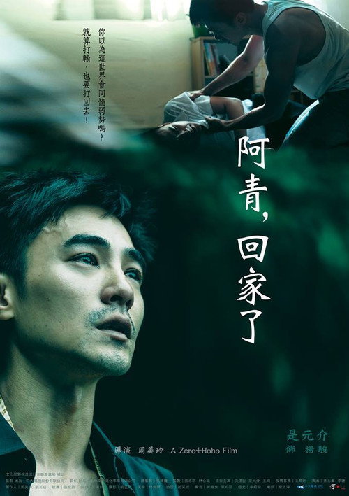阿青，回家了 封面