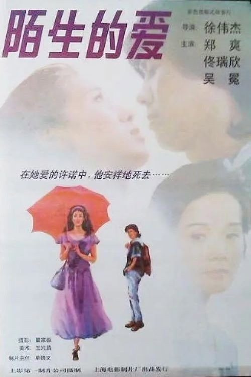 陌生的爱 封面