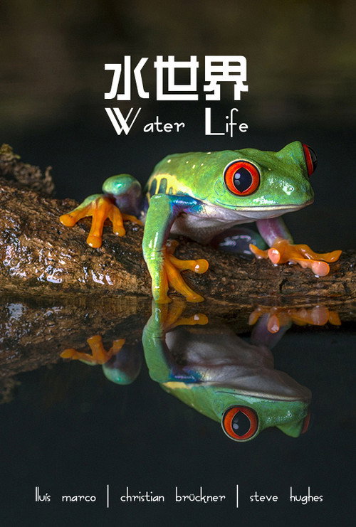 Water Life A World of Water 封面