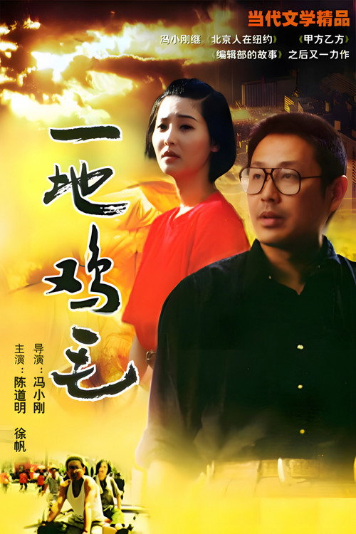 一地鸡毛 封面