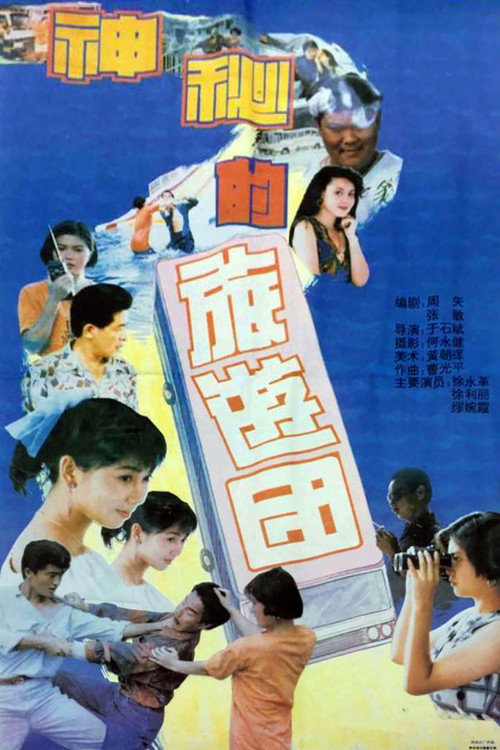 神秘的旅游团 封面