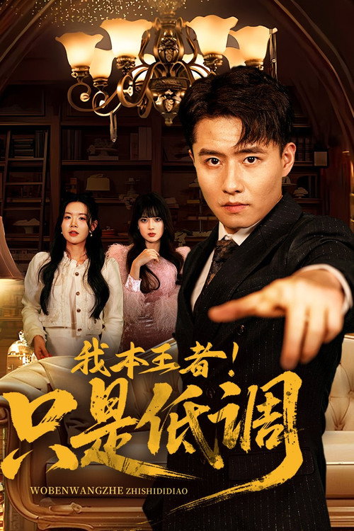 我本王者！只是低调 封面
