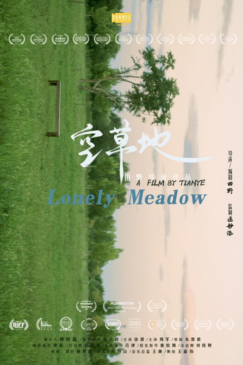 空草地 封面