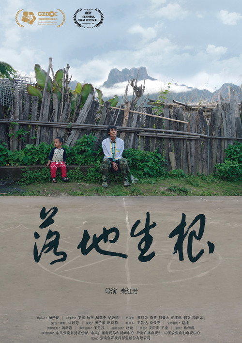 落地生根 封面