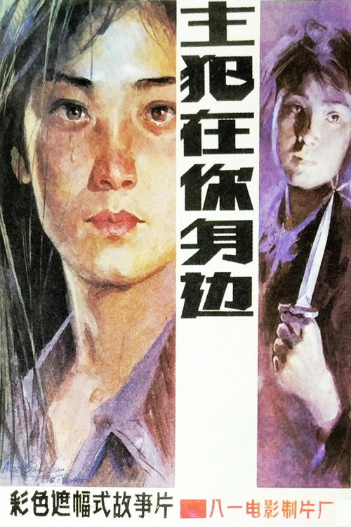 主犯在你身边 封面