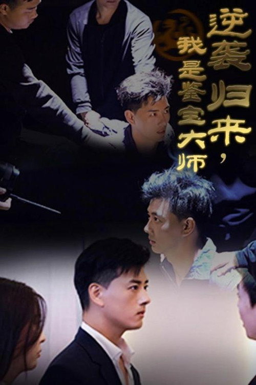 逆袭归来，我是鉴宝大师 封面