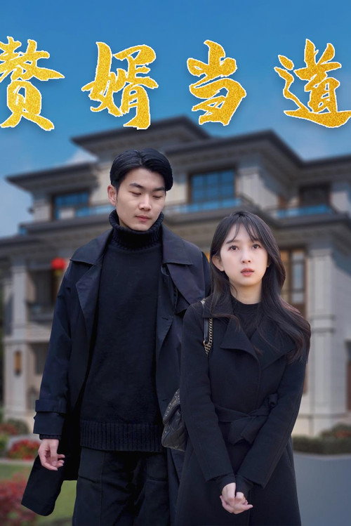 赘婿当道 封面