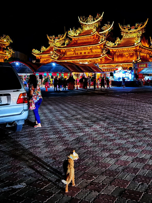 黑色虱目魚 封面