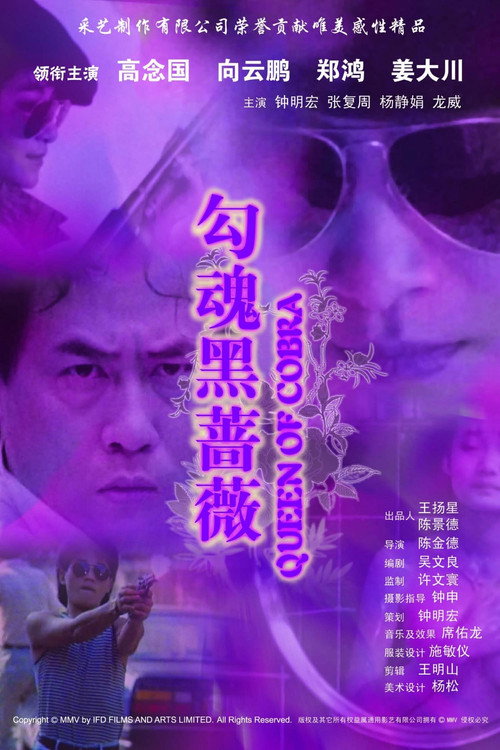 勾魂黑薔薇 封面