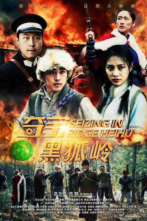 夺宝黑狐岭 封面