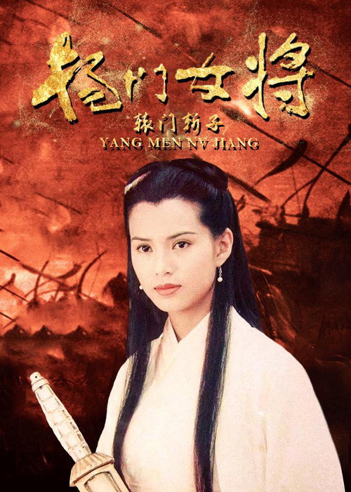 杨门女将之辕门斩子 封面